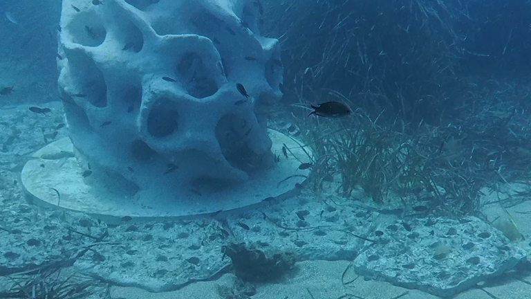 Récifs imprimés en 3D pour régénérer les fonds marins de la Méditerranée